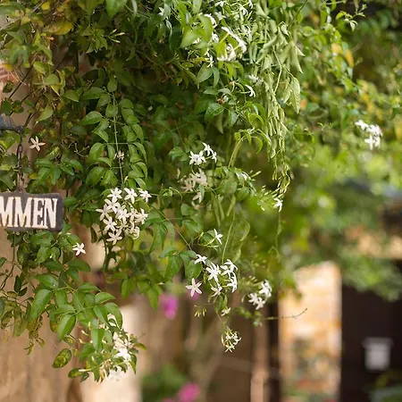 Апартаменти Kristina's